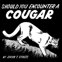 Should You Encounter a Cougar